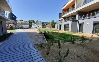 Aménagement extérieur à Raon L’Étape : profitez de votre jardin en toute saison